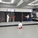 용인대 백호 태권도장 이미지