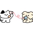 여우골 초밥(신촌점) 이미지