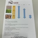 수제맥주 만들기 | [원데이클래스] 소마인방배 : 수제맥주 만들기 꿀잼후기