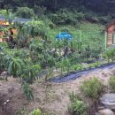 법수치여울목펜션 이미지