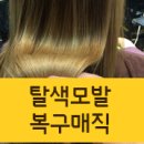 장미원미용실