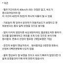 전동킥보드 다리절단 사고 ㄷㄷ 이미지