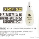 채이은