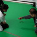 타이거 주짓수 이미지