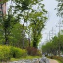 GS25용강공단점