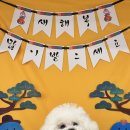 바우스쿨 이미지