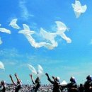 한국 교회, 평화와 일치 위해 기도 이미지