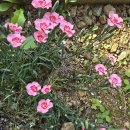 배원에너지 이미지