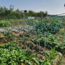 금강3농장 이미지