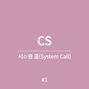 CS시스템