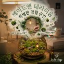 토리앤우드공방 | 부산 금정구 공방 제이드앤에서 즐긴 감성 테라리움 원데이클래스