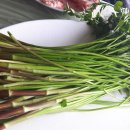 구일농장2 이미지