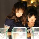 테마보석사우나 이미지