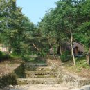 봉황자연휴양림 이미지