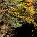 가을여행 이미지