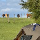 (유)푸른나라 | 뉴질랜드 자전거 여행 후기