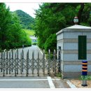 산림환경연구원 Daum카페