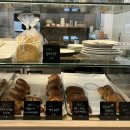 아도라 플라워 앤 카페 | [제주] 서귀포 신화월드 근처 베이커리 카페 '플라워앤플라워스' 주차 솔직후기