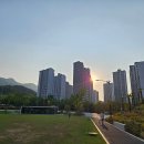 새율하약국 이미지