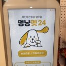 멍냥펫24 상봉역점 이미지