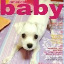 애견모델 이미지