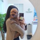 윤성진 안과/외과 동물병원 이미지