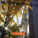 급행역공인중개사사무소 이미지