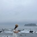 비브레이브 이미지