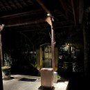 파드마투어 이미지