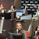 스테이상아 이미지