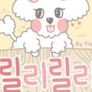 뉴슬립 네이버블로그