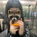 또그닥또그닥 컴활 조지는 삶