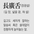 고방[7411]東坡선시(禪詩) 증동림총장로(贈東林總長老) 이미지