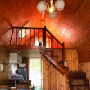 다섯 난장이 이미지