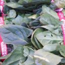 설천면001 이미지