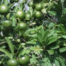 해안도로입구 이미지