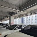 수산시장 | 노량진/ 청양수산 • 노량진 수산시장 회포장 후기