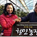 철민농장 이미지