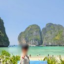 베이동물병원 | [푸켓 혼자 여행] 피피섬+마야베이+몽키비치 스피드보트 투어 후기｜여자 혼자도 안전하게 즐기는 마이...
