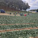 으뜸초등학교 이미지