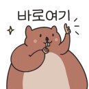 오이씨통치킨 이미지