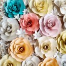 지정샘유치원 이미지