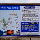 비안도초 이미지