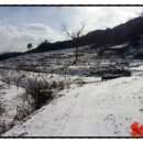 예덴농장 이미지