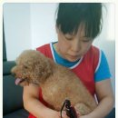 프리티 도그&캣 이미지