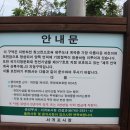 제주 안덕계곡 상록수림 이미지