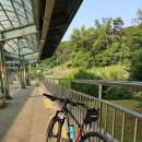 2025년 05월 25일 일요일(반월역,안산,인천대공원)50km-후기 이미지
