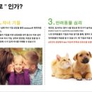 마음을 읽는 타로상담 이미지