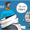 아름다울미 Daum카페