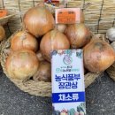 으뜸채소